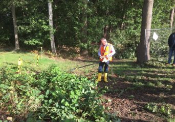 bestrijding duizendknoop met stroom bestrijding duizendknoop met stroom