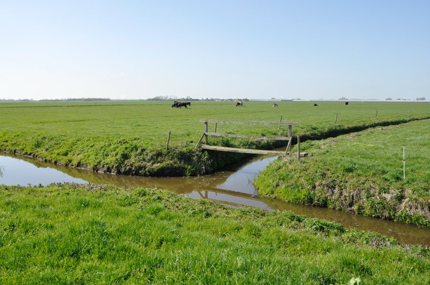 Midden Delfland