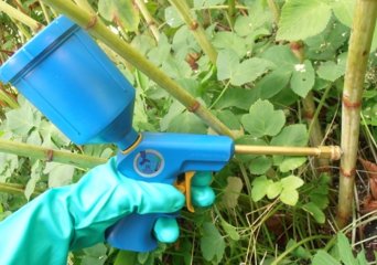 Glyfosaat stengelinjectie Glyfosaat stengelinjectie