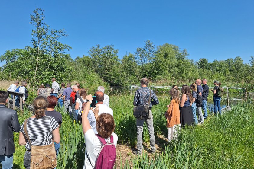 Veldbezoek aan de pilotlocatie in de Molenpolder (Foto: Chris van Dijk) Veldbezoek aan de pilotlocatie in de Molenpolder (Foto: Chris van Dijk)