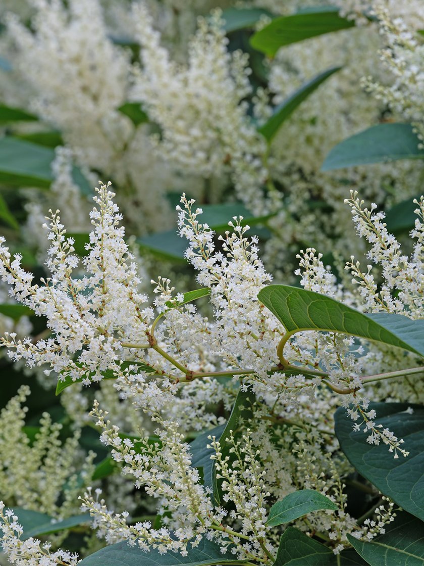 shutterstock_2205847115.jpg shutterstock_2205847115.jpg