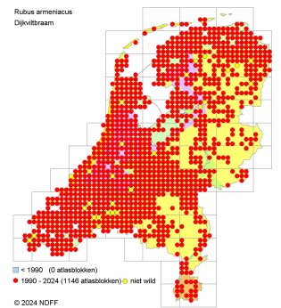 Verspreidingskaart Dijkviltbraam Verspreidingskaart Dijkviltbraam