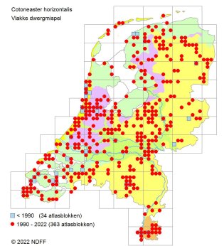 Verspreidingskaart Cotoneaster horizontalis Verspreidingskaart Cotoneaster horizontalis