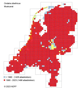 Verspreidingskaart Muskusrat Verspreidingskaart Muskusrat