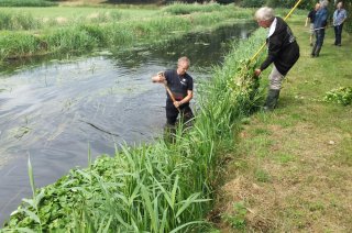 Handmatig verwijderen Grote waternavel uit de oever (© Wageningen UR)