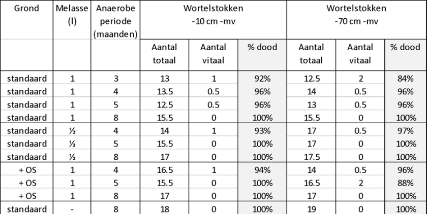 Tabel 1: Percentage dode wortelstokken in grond na 3, 4, 5 en 8 maanden onder anaerobe omstandigheden (gemiddelde van twee behandelingen). Tabel 1: Percentage dode wortelstokken in grond na 3, 4, 5 en 8 maanden onder anaerobe omstandigheden (gemiddelde van twee behandelingen).