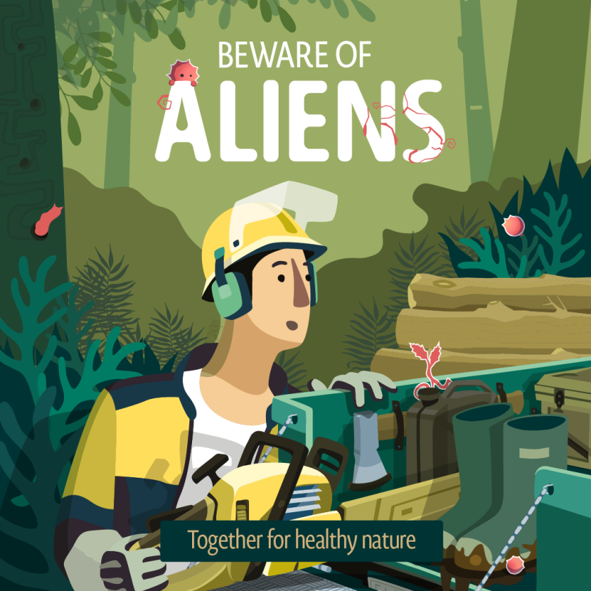 Forest workers Forest workers