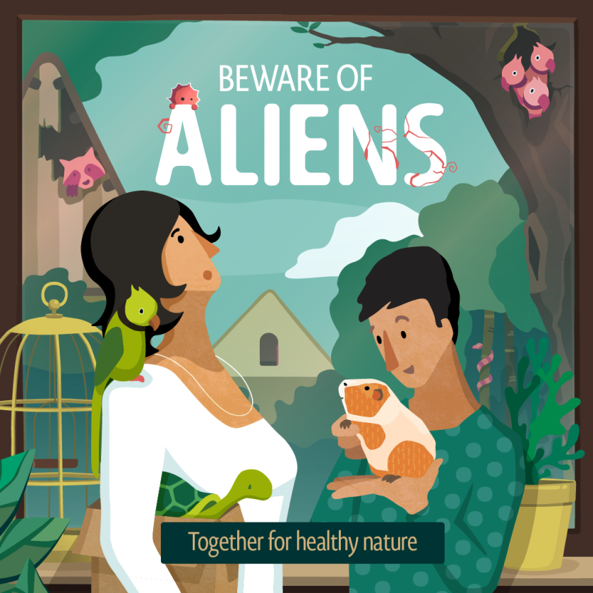 Huisdieren Huisdieren